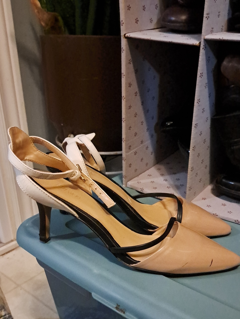 Expressions Two-Tone Pointed Toe Slingback Heels in Beige, White and Black